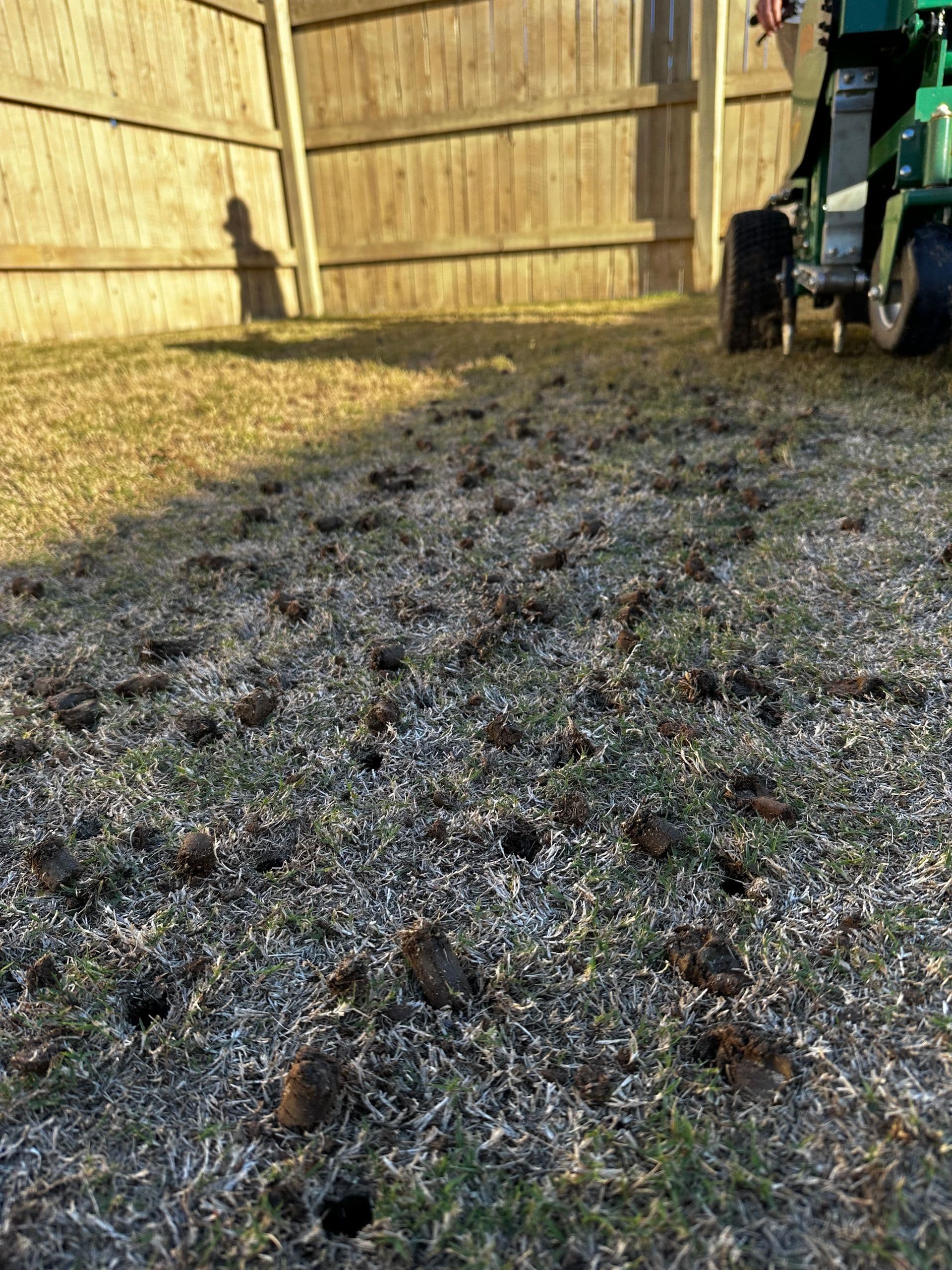 Freshly core-aerated garden bed with dark mulch in a fenced yard, with a lawn tractor at the right edge.