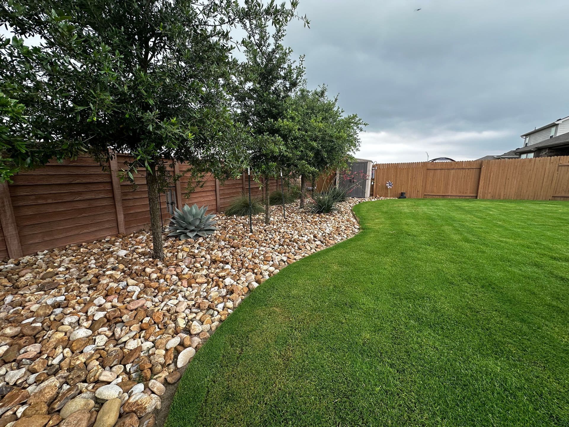 Backyard with a curved river-rock border, young trees and a freshly mowed green lawn.