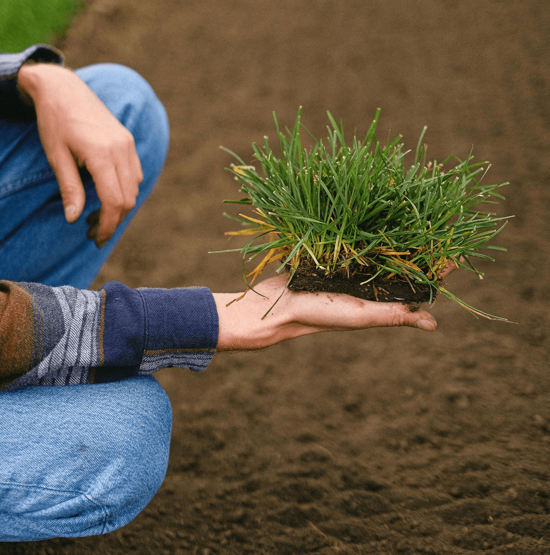 Preparing soil for sod installation in Georgetown and Round Rock, TX lawn projects