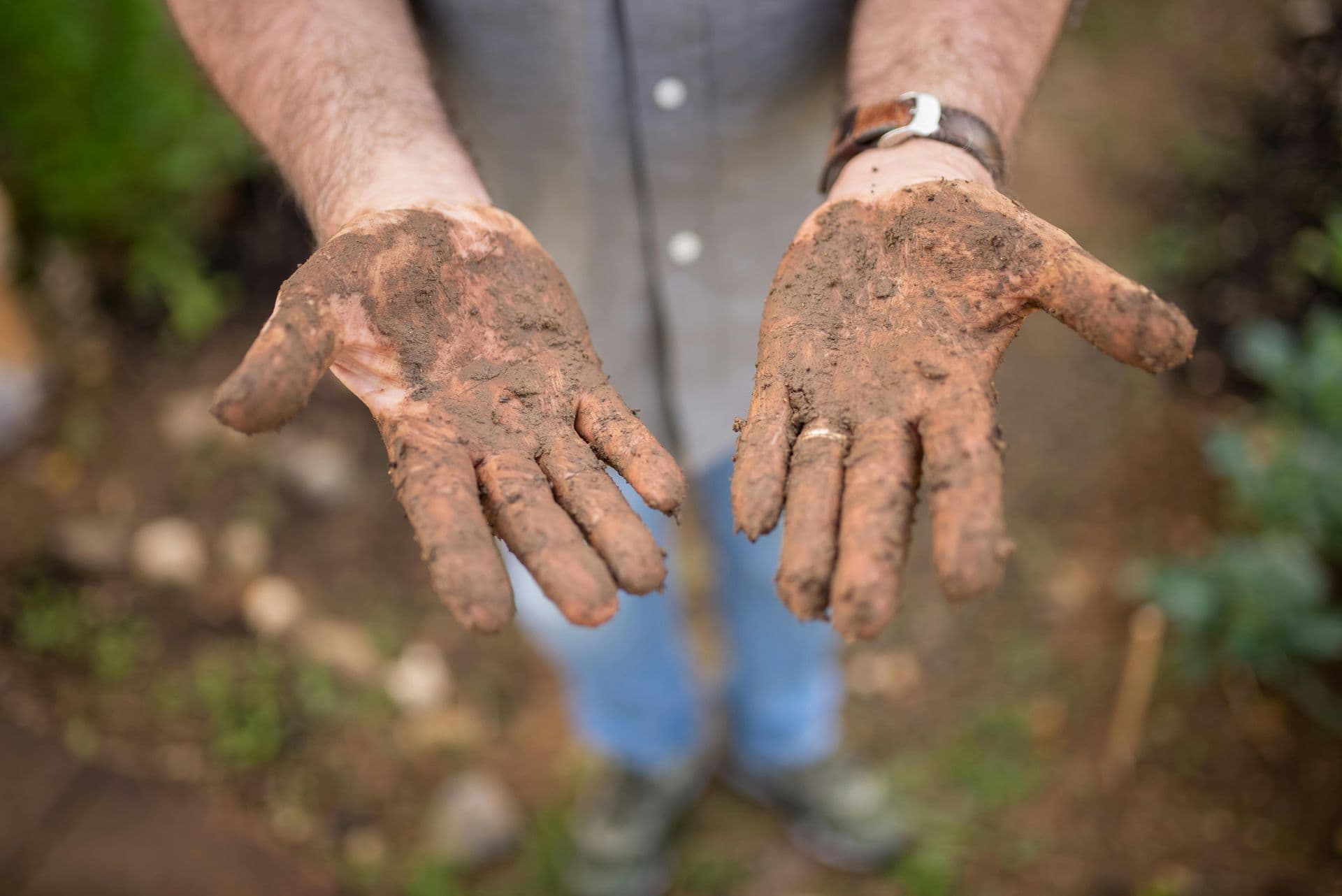 Person's hands covered in dirt, shown from a first-person perspective, with a watch and ring visible.