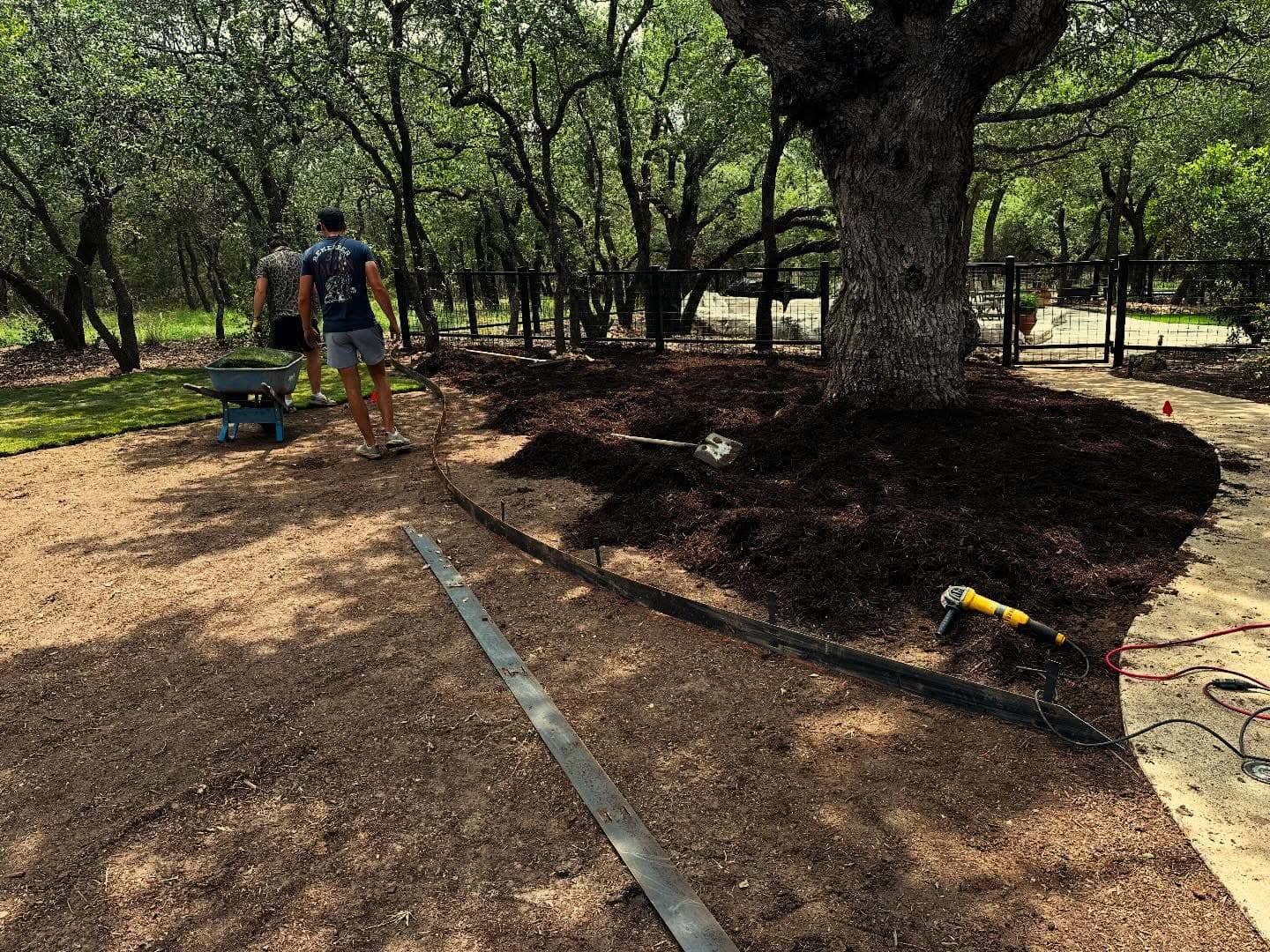 Local Roots Lawn Maintenance lawn care project in Georgetown, TX